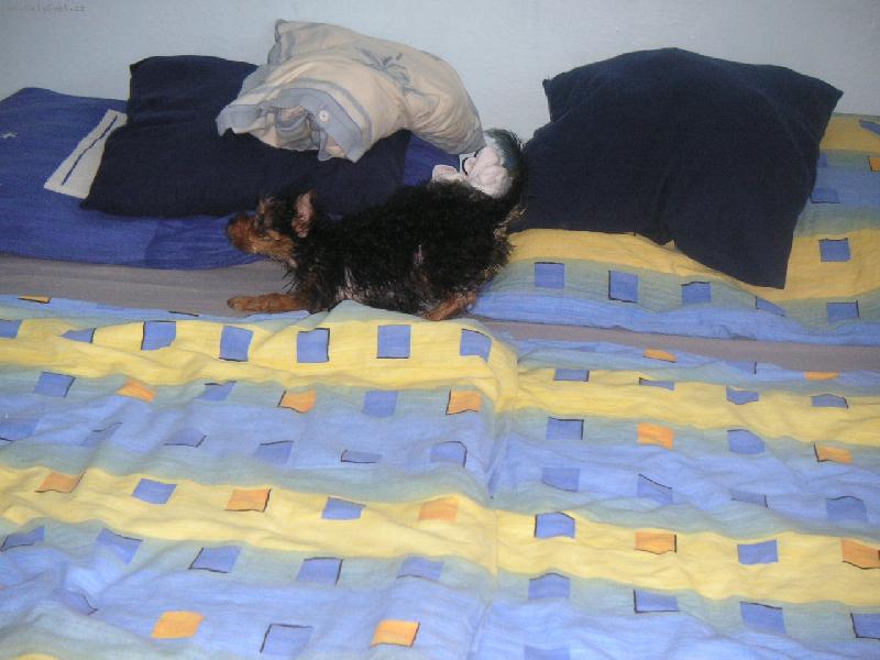 Foto: Po koupání se snažím co nejrychleji osušit...