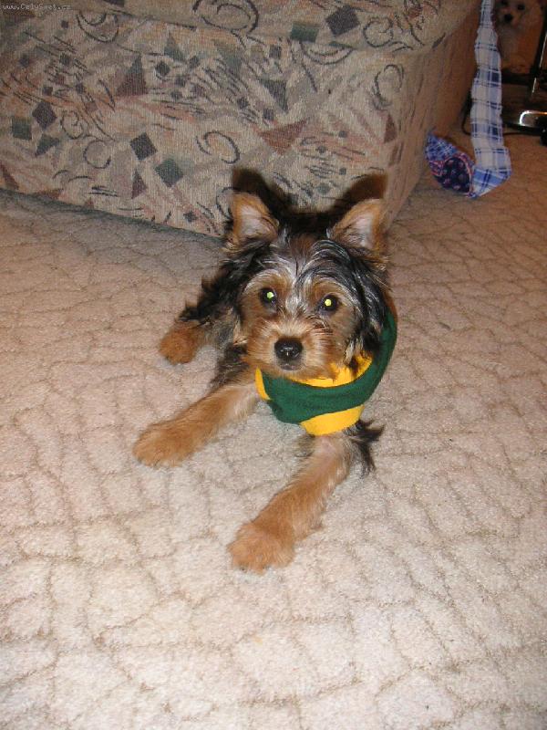 Foto: Už je mi teplo