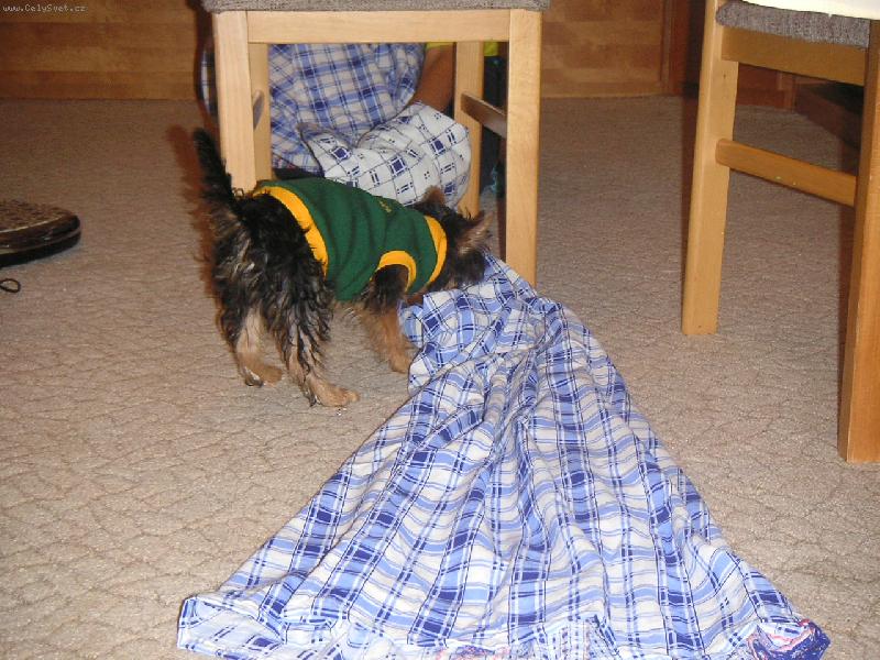 Foto: Nejdříve prozkoumám svou novou hračku... \"a je to tunel\"