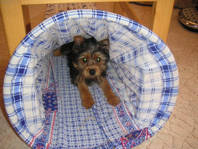 Foto: Tohle bude zřejmě vchod:-)