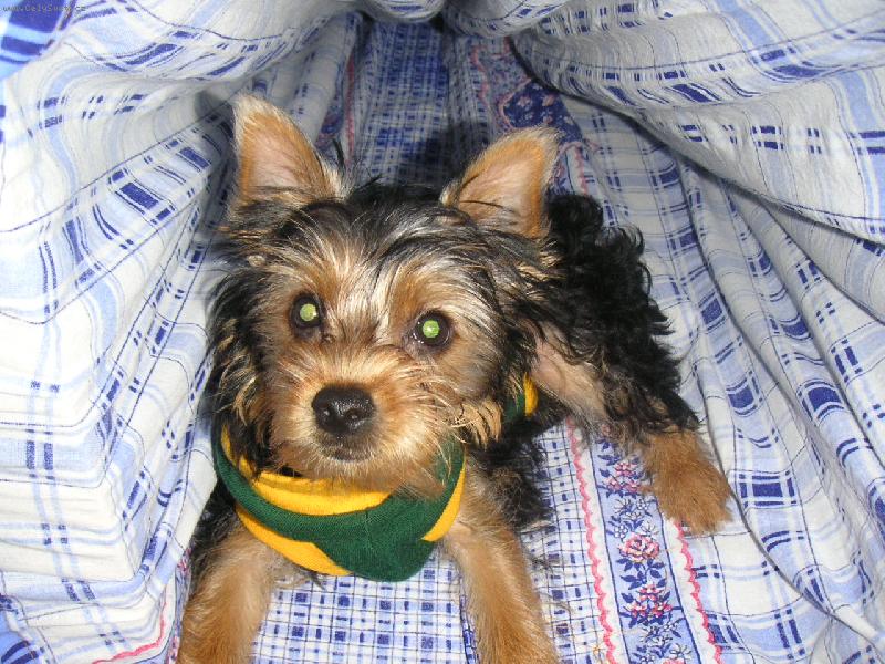 Foto: Dnes se mi už schovávat nechce.