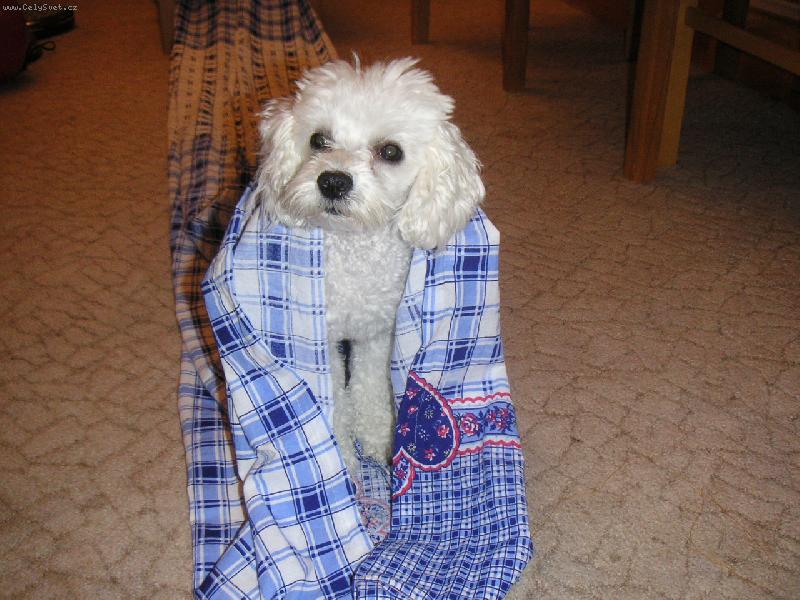 Foto: ... pokračování...