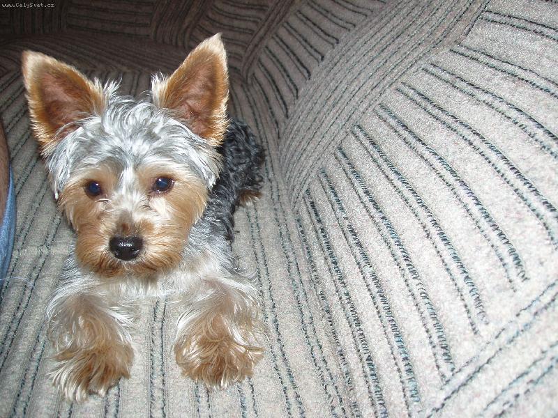 Foto: Náš míiláček-Lehárko