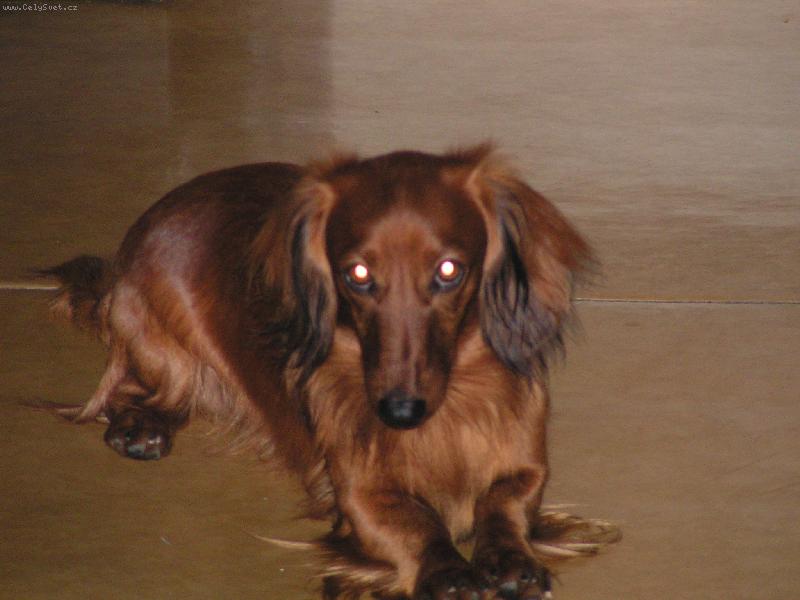 Foto: náš Beneček-to jsem fešák