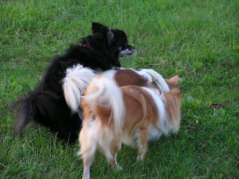 Foto: Výuka-Tak mladej koukej se, jak se to dělá ...