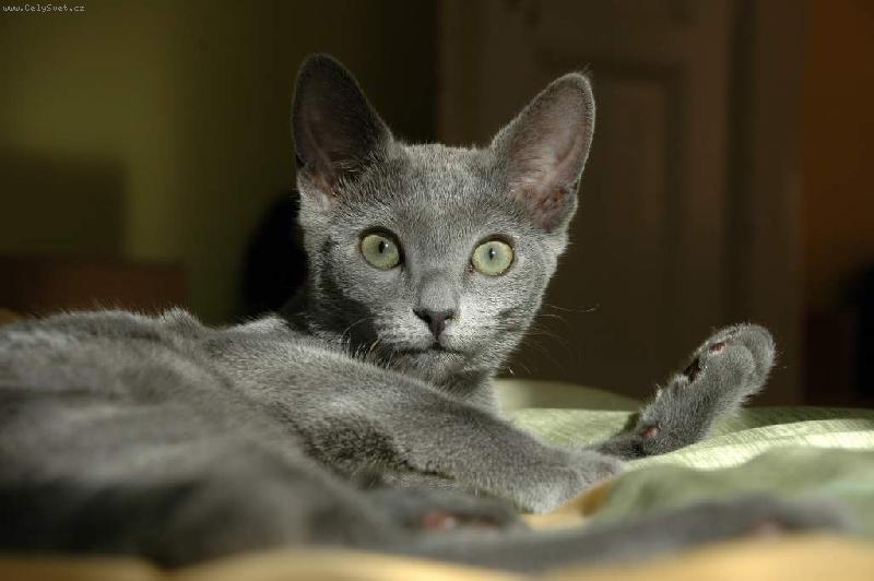 Foto: Zahájení odpočinku