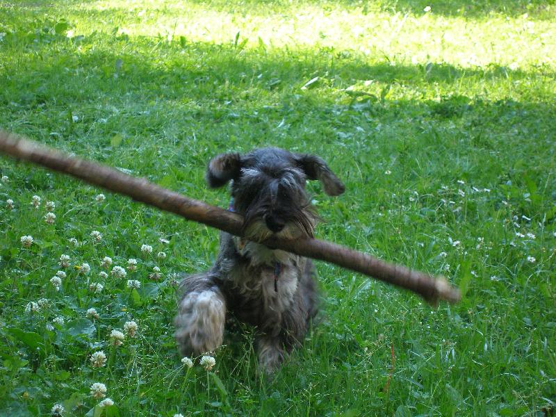 Foto: Gwen z Povodí Oharky