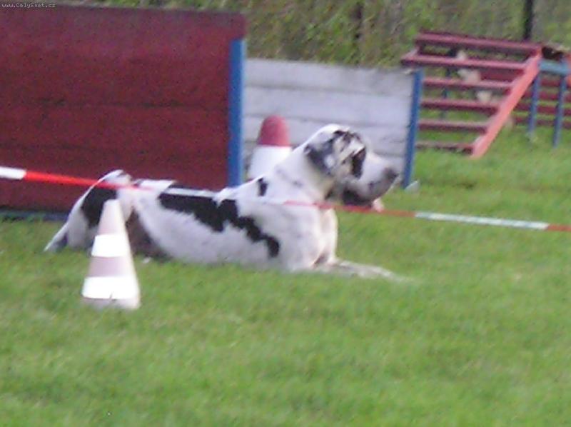 Foto: Bonaparte-Výcvikový tábor