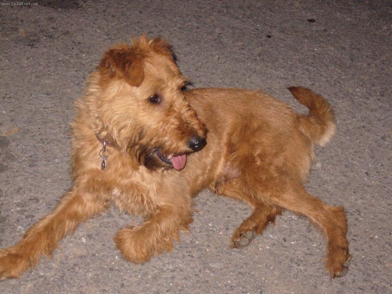 Foto: Harry-odpočinek