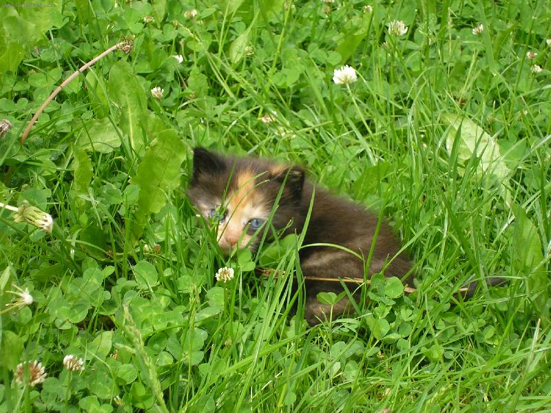 Foto: Afrodita-daruji ji