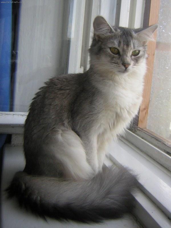 Foto: www.atuar-somali.com-Baley