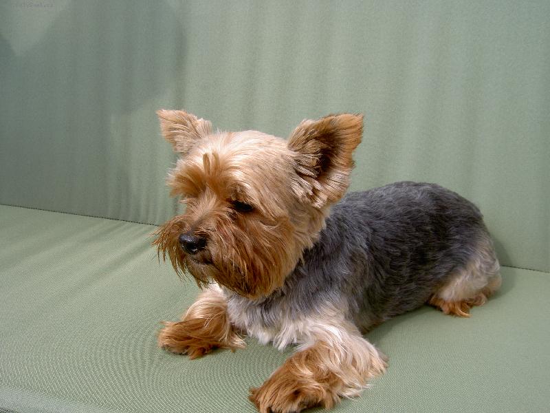 Foto: To je pohodička