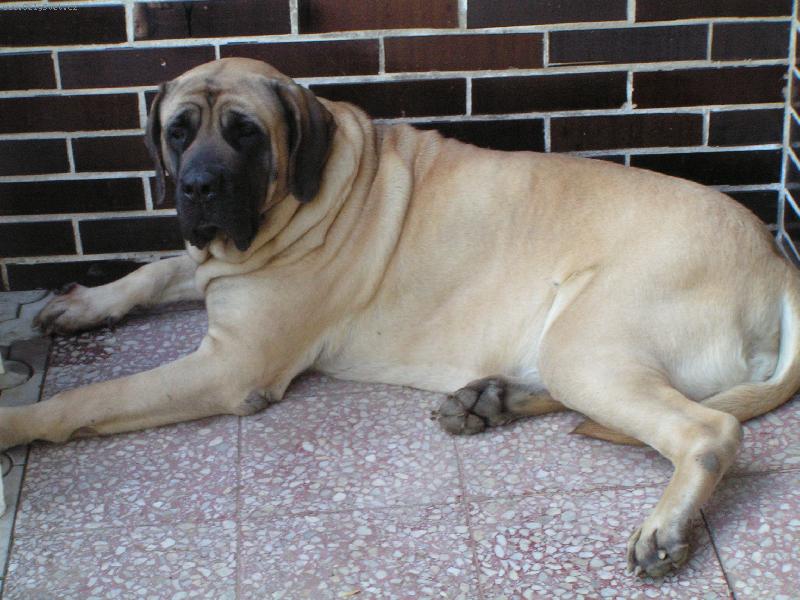 Foto: Sába ze ukova-To je ale veget