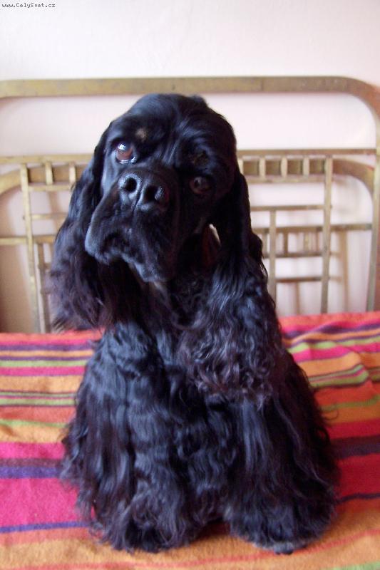 Foto: Jazz-Xaran B.B