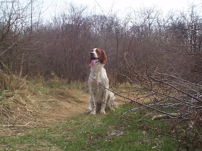 Foto: Aja-Eira z Vlčích Máku