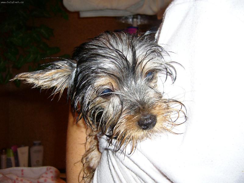 Foto: Mokrá Ennynka-Mokrá Ennynka