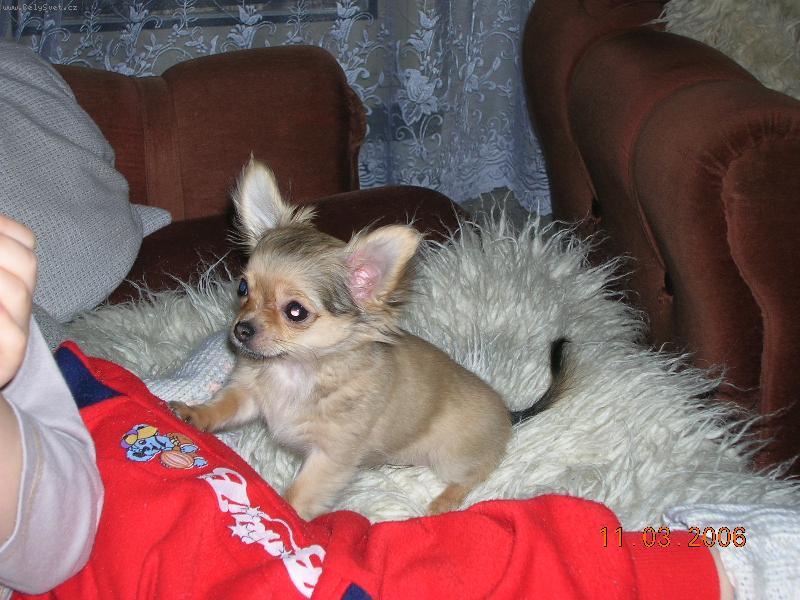 Foto: Dorotka-Dej mi taky, prosím!!!!