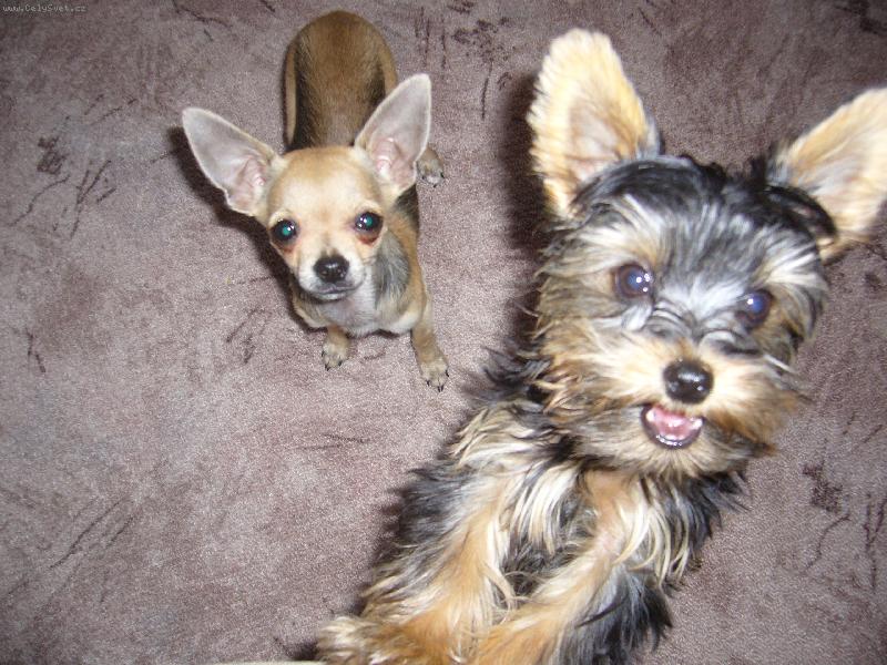 Foto: já a moje kámoška.