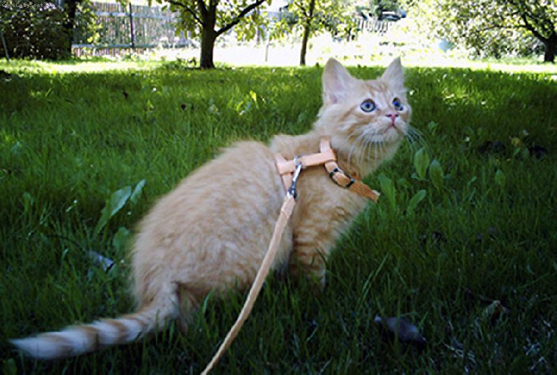 Foto: Naše malá Keysie