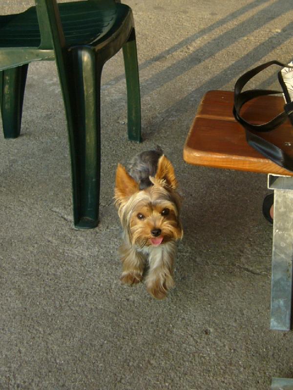 Foto: MIA z Děčína-dala bych si pifko:-)