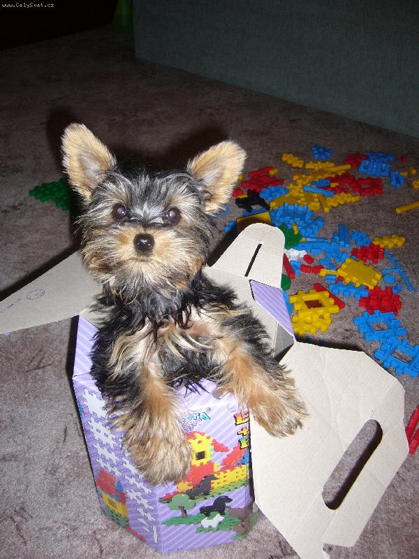 Foto: jak malé dítě! :-)