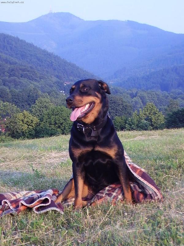 Foto: Verra-Miláček