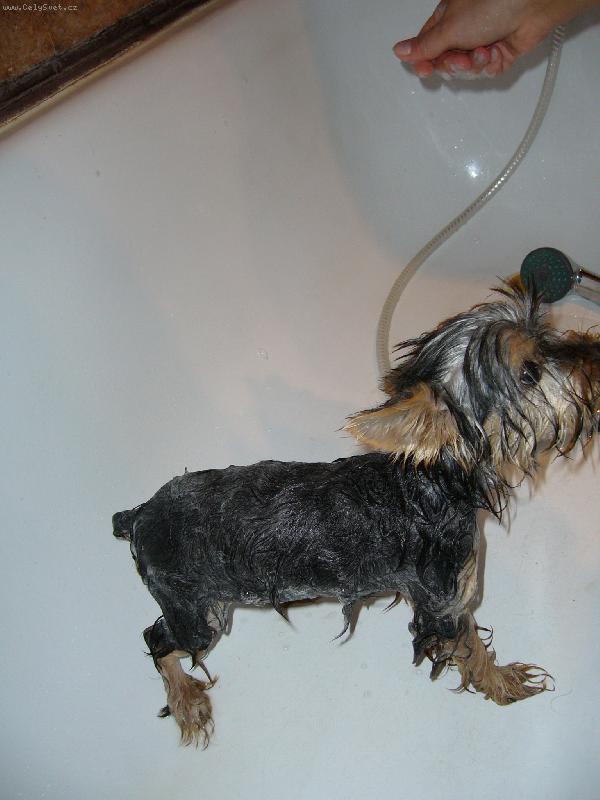 Foto: Ennynka-koupel...brrrr