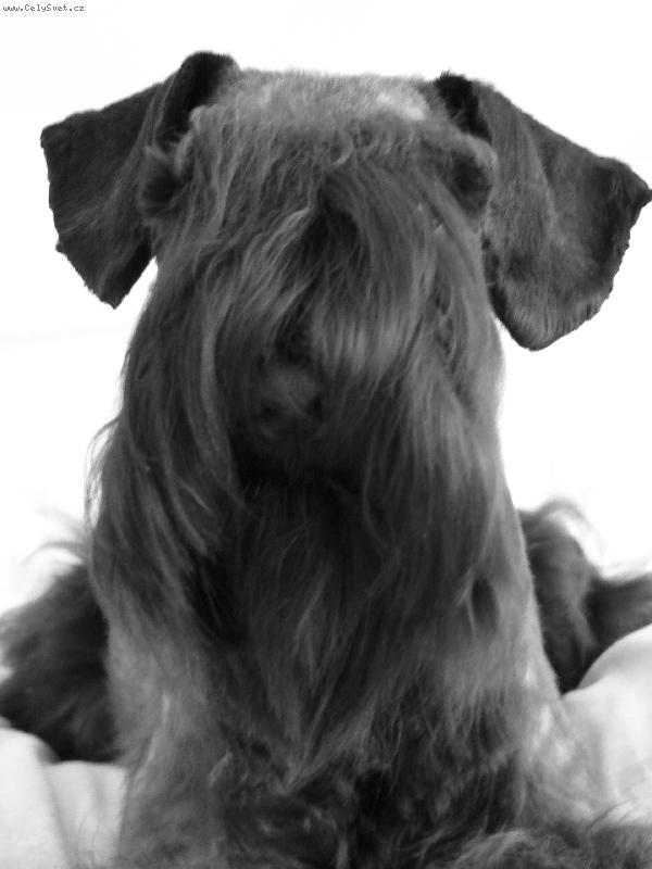 Foto: Felicita-Felicitka jako modelka