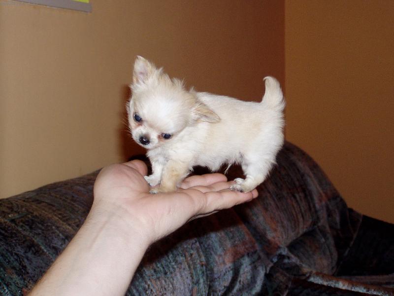 Foto: Šimda- Šimonek ve 3 měsících