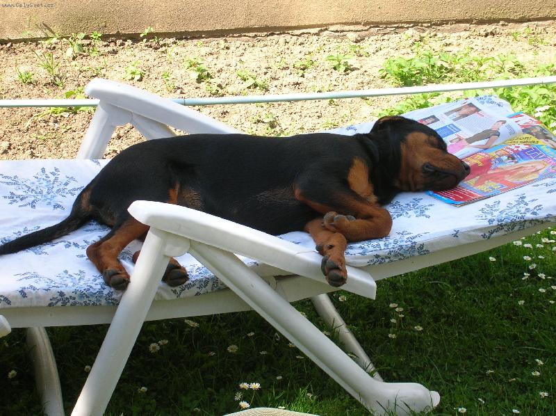 Foto: Sára-odpolední siesta