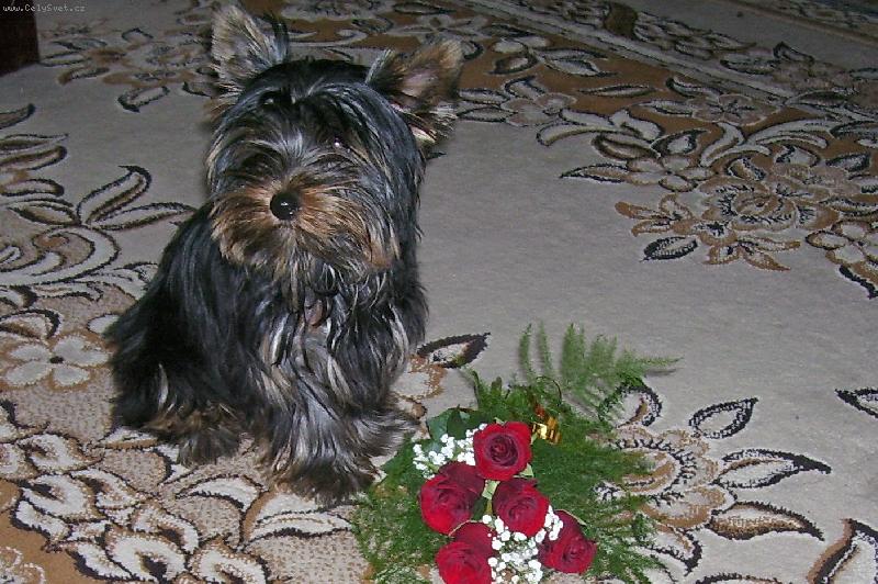 Foto: http://www.amalkajork.estranky.cz/-Amálka