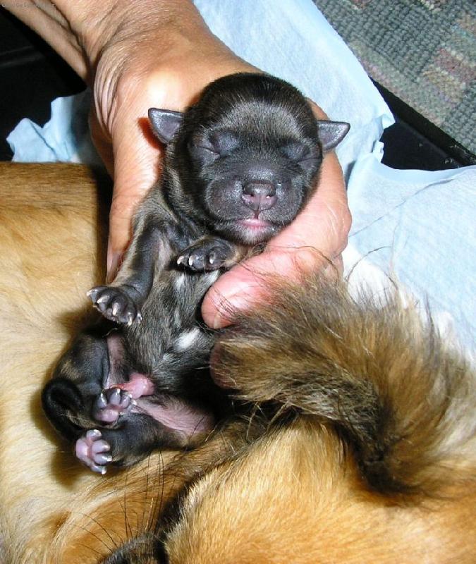 Foto: Čerstvě na světě