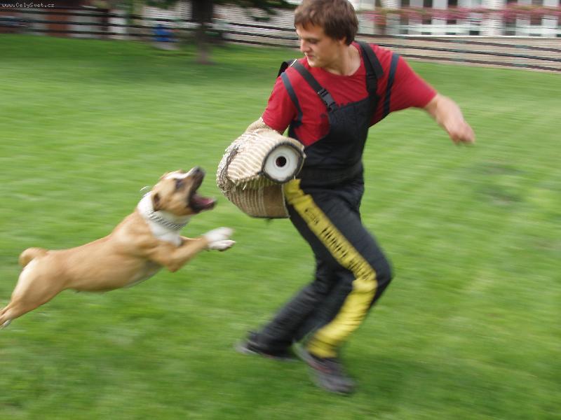 Foto: Gassy(Herby Hradní sklep)-obrany:)