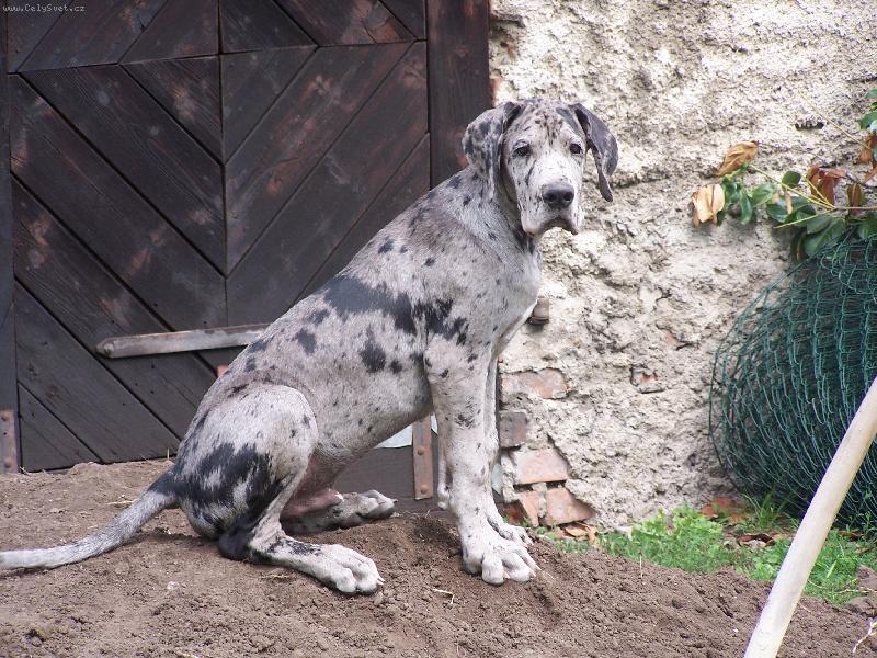 Foto: IGOREK-4 měsíce