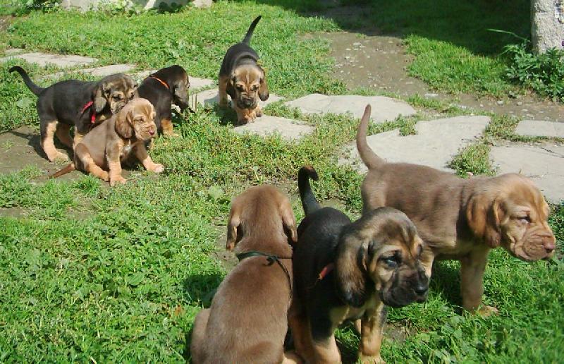 Foto: Famous Alhavant-máme měsíc a je s námi velká sranda