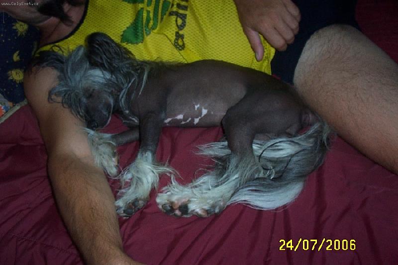 Foto: Ice-Náš mazlík Ice