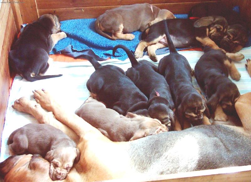 Foto: Famous Alhavant-v měsíci