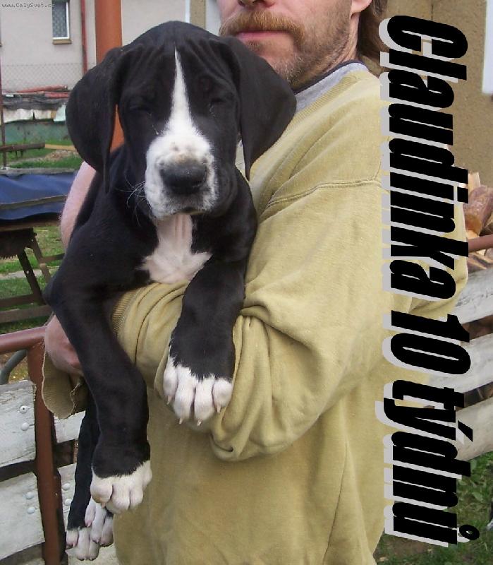 Foto: Claudinka-10 týdnů