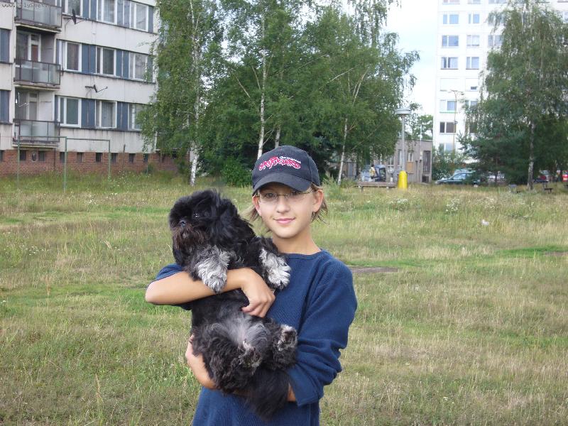 Foto: Lady-tři roky stará fenečka