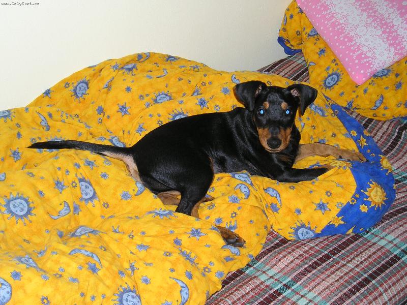 Foto: V cizí potýlce je vždycky nejlíp