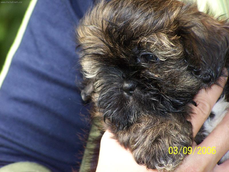 Foto: Kira-Kira na procházce