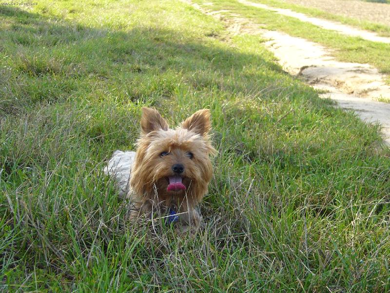 Foto: Peggoušek-Lehárko v travičce !!