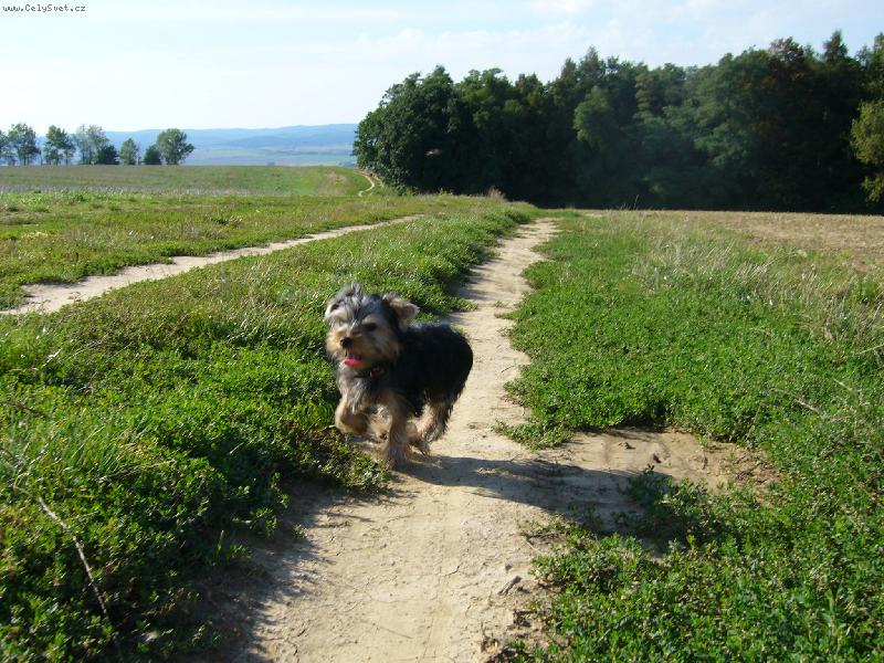 Foto: Ennynka-běh :o)