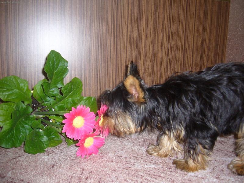 Foto: hmmmmmmm to to voní!!!