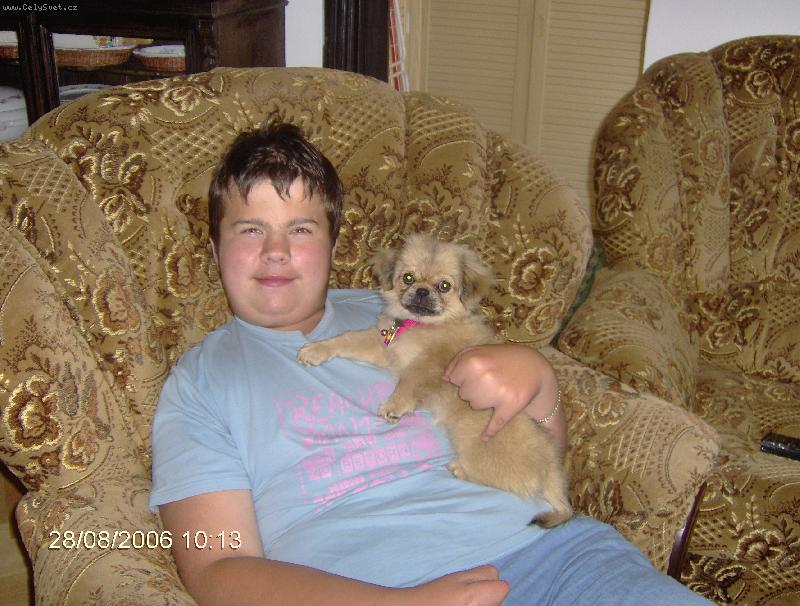 Foto: Láska moja-Môj malý pomocník Donnka