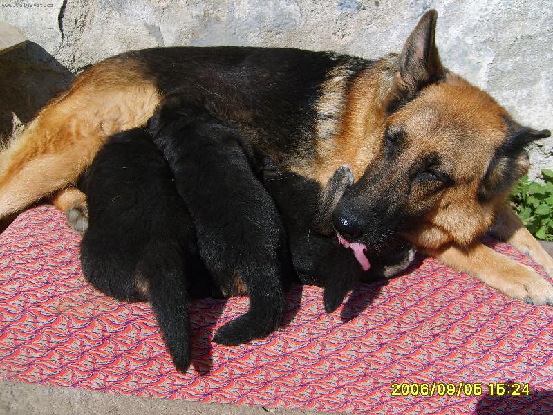 Foto: Eliška a štěnata,první opalování