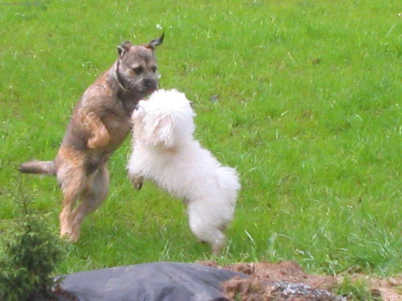 Foto: Iran s kamarádem-Iran s kamarádem