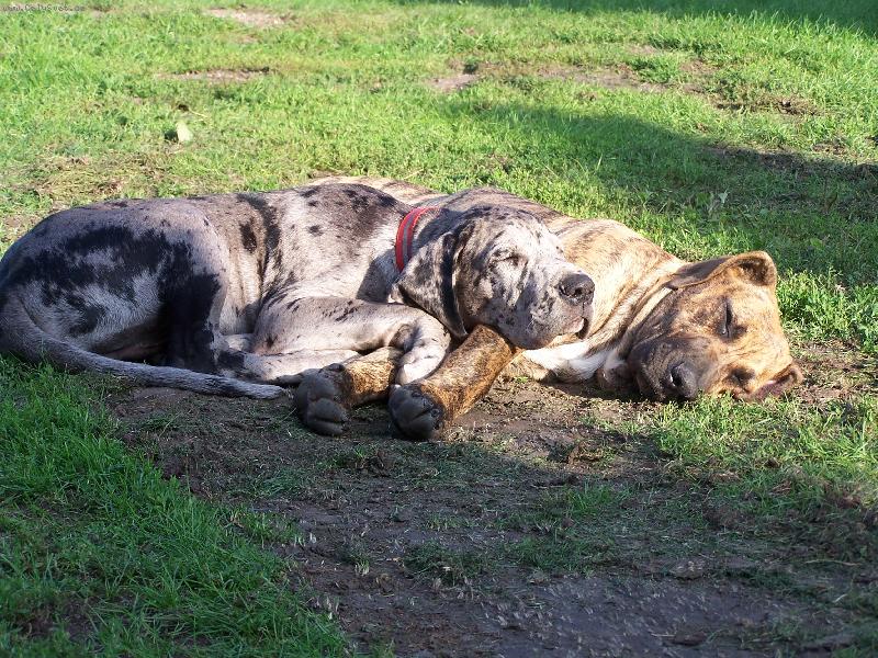 Foto: IGOREK s kámošem