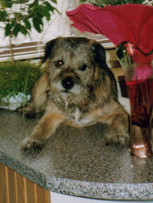 Foto: Hasánkova pohodička-HASAN