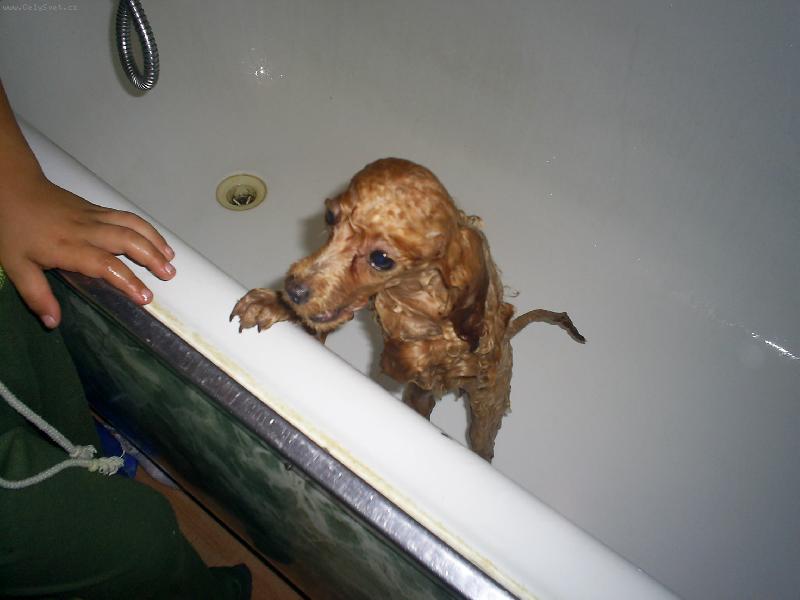 Foto: Zuzi Maria-už jsem čistá chci ven